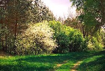 Kampinoski Park Narodowy